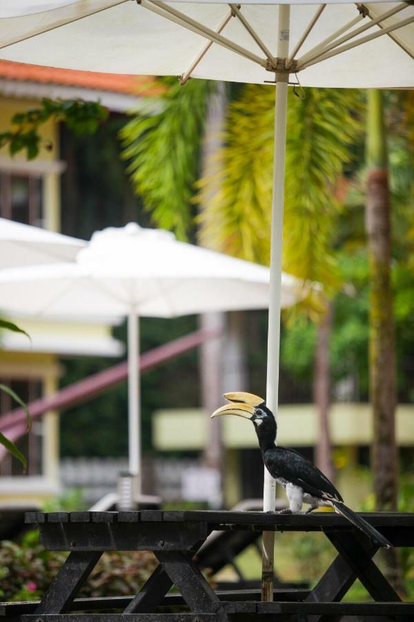 Anjungan Beach Resort Kampung Teluk Nipah Esterno foto